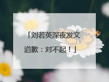 刘若英深夜发文道歉：对不起！