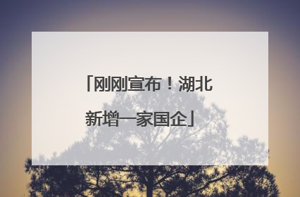 刚刚宣布！湖北新增一家国企