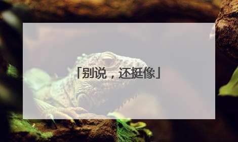 别说，还挺像
