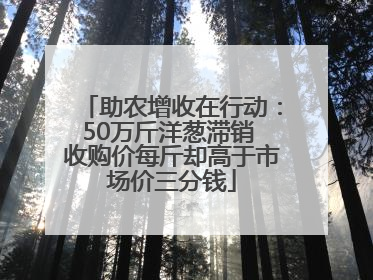 助农增收在行动：50万斤洋葱滞销 收购价每斤却高于市场价三分钱