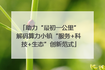 助力“最初一公里” 解码算力小镇“服务+科技+生态”创新范式
