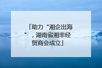 助力“湘企出海”，湖南省湘非经贸商会成立