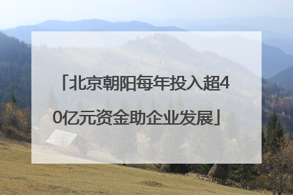 北京朝阳每年投入超40亿元资金助企业发展