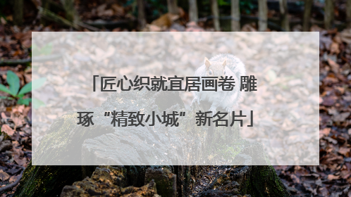 匠心织就宜居画卷 雕琢“精致小城”新名片