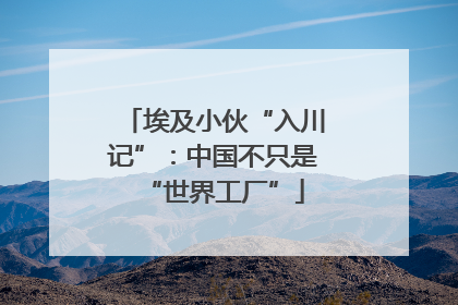 埃及小伙“入川记”：中国不只是“世界工厂”