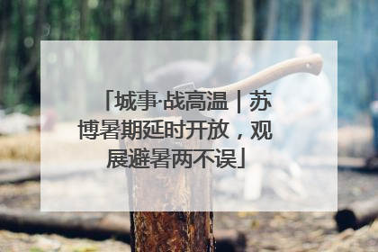 城事·战高温｜苏博暑期延时开放，观展避暑两不误