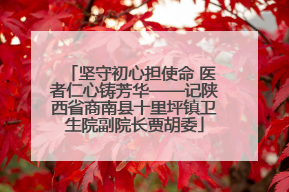 坚守初心担使命 医者仁心铸芳华——记陕西省商南县十里坪镇卫生院副院长贾胡委