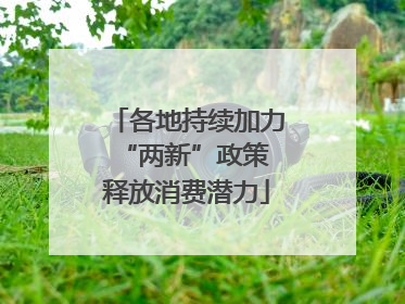 各地持续加力“两新”政策 释放消费潜力