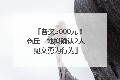 各奖5000元！商丘一地拟确认2人见义勇为行为