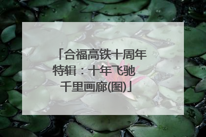 合福高铁十周年特辑：十年飞驰 千里画廊(图)