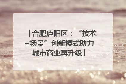 合肥庐阳区：“技术+场景”创新模式助力城市商业再升级