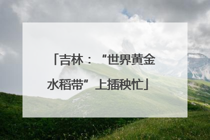 吉林：“世界黄金水稻带”上插秧忙