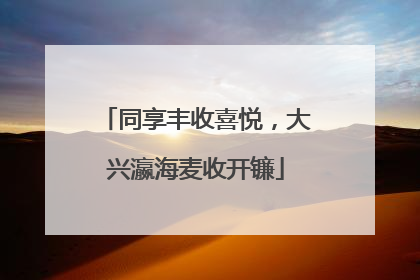 同享丰收喜悦，大兴瀛海麦收开镰
