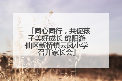 同心同行，共促孩子美好成长 绵阳游仙区新桥镇云凤小学召开家长会