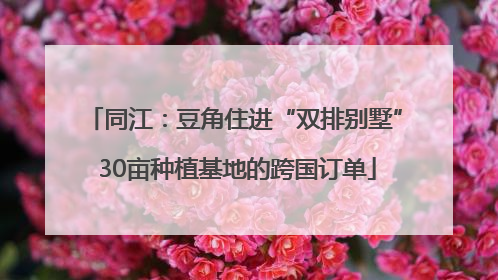 同江：豆角住进“双排别墅” 30亩种植基地的跨国订单