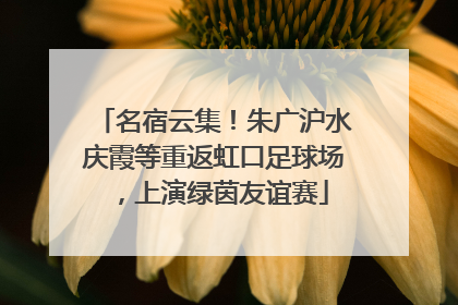 名宿云集！朱广沪水庆霞等重返虹口足球场，上演绿茵友谊赛