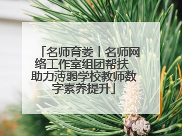 名师育娄丨名师网络工作室组团帮扶 助力薄弱学校教师数字素养提升