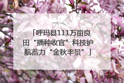 呼玛县111万亩良田“播种收官”科技护航蓄力“金秋丰景”