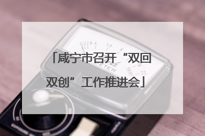 咸宁市召开“双回双创”工作推进会