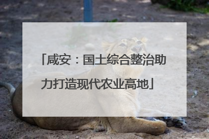 咸安：国土综合整治助力打造现代农业高地