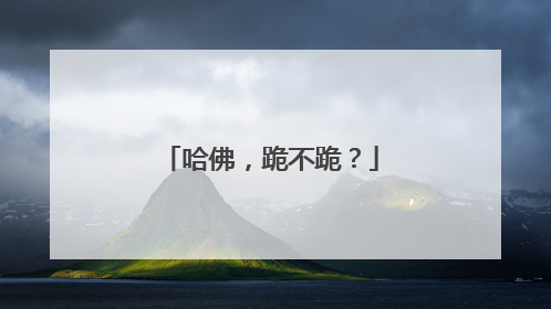 哈佛，跪不跪？