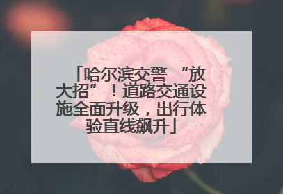 哈尔滨交警 “放大招”！道路交通设施全面升级，出行体验直线飙升