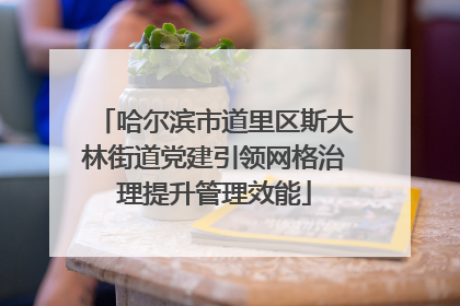 哈尔滨市道里区斯大林街道党建引领网格治理提升管理效能