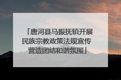 唐河县马振抚镇开展民族宗教政策法规宣传 营造团结和谐氛围