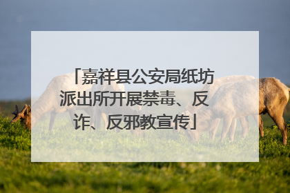 嘉祥县公安局纸坊派出所开展禁毒、反诈、反邪教宣传