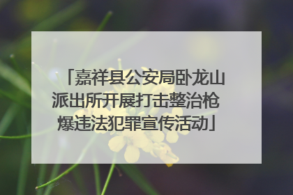 嘉祥县公安局卧龙山派出所开展打击整治枪爆违法犯罪宣传活动
