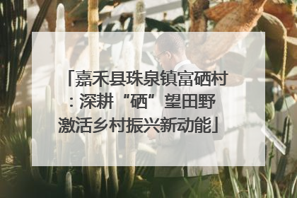 嘉禾县珠泉镇富硒村：深耕“硒”望田野 激活乡村振兴新动能