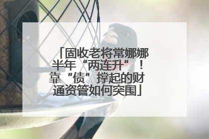 固收老将常娜娜半年“两连升”！靠“债”撑起的财通资管如何突围