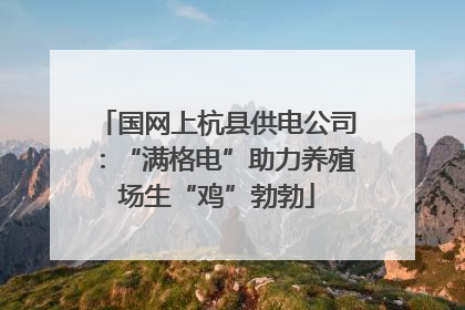 国网上杭县供电公司：“满格电”助力养殖场生“鸡”勃勃