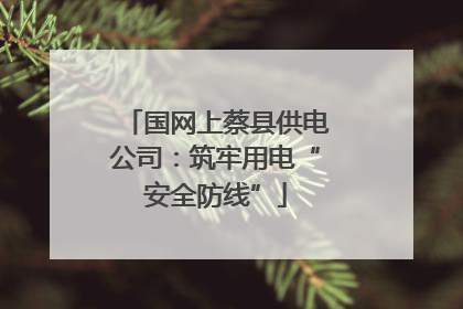 国网上蔡县供电公司：筑牢用电“安全防线”