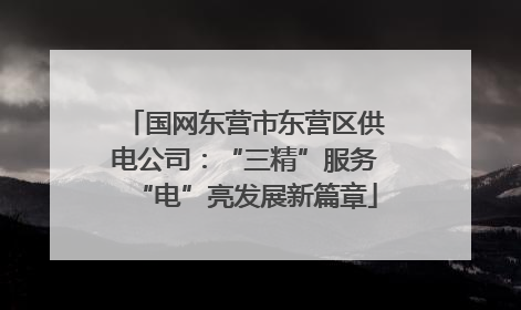 国网东营市东营区供电公司：“三精”服务“电”亮发展新篇章