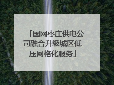 国网枣庄供电公司融合升级城区低压网格化服务