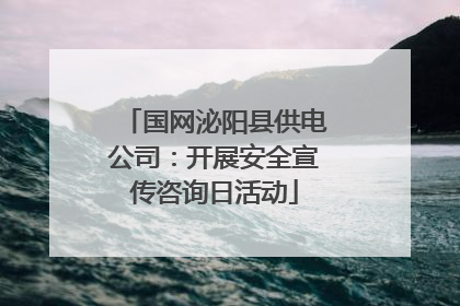国网泌阳县供电公司：开展安全宣传咨询日活动