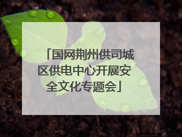 国网荆州供司城区供电中心开展安全文化专题会