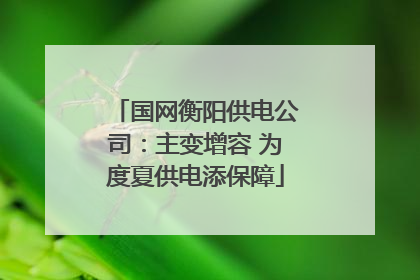 国网衡阳供电公司：主变增容 为度夏供电添保障