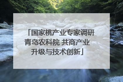 国家桃产业专家调研青岛农科院 共商产业升级与技术创新