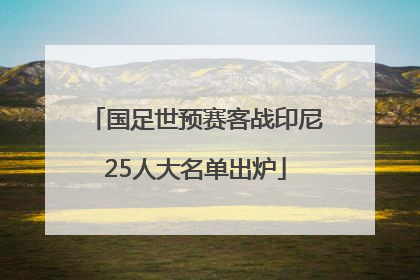 国足世预赛客战印尼25人大名单出炉