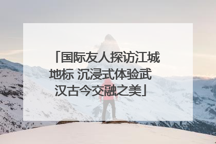 国际友人探访江城地标 沉浸式体验武汉古今交融之美