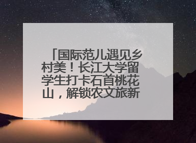 国际范儿遇见乡村美！长江大学留学生打卡石首桃花山，解锁农文旅新玩法！