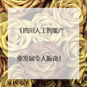四川人工智能产业发展令人振奋