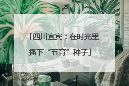 四川宜宾：在时光里播下“五育”种子