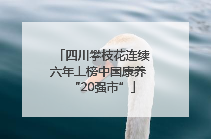四川攀枝花连续六年上榜中国康养“20强市”