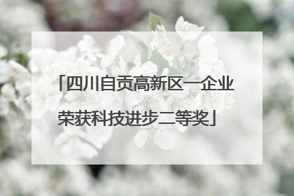 四川自贡高新区一企业荣获科技进步二等奖