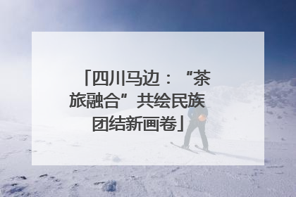 四川马边：“茶旅融合”共绘民族团结新画卷
