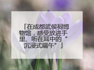 在成都武侯祠博物馆，感受放进手里、听在耳中的“沉浸式端午”