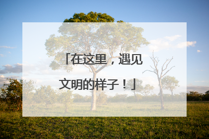 在这里，遇见文明的样子！